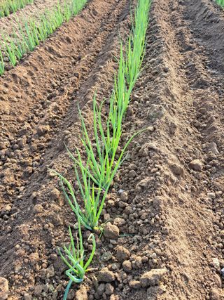 좋은인연원님의 자유주제 · 자유게시판 작성글 사진