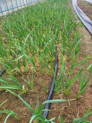 이동기님의 자유주제 · 자유게시판 작성글 사진