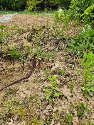콩18222님의 자유주제 · 자유게시판 작성글 사진