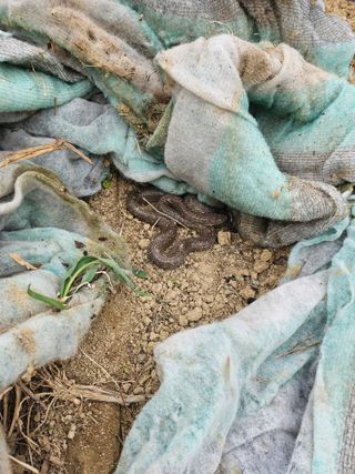 콩18222님의 자유주제 · 자유게시판 작성글 사진