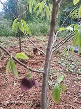 팜모닝 자유주제·자유게시판 게시글 이미지