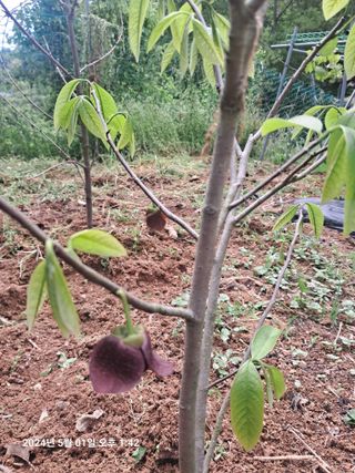 문경보님의 자유주제 · 자유게시판 작성글 사진