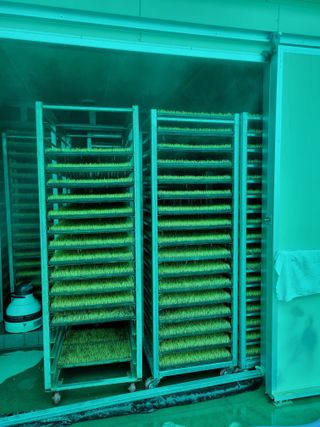 백진주님의 벼 · 영농일지 작성글 사진