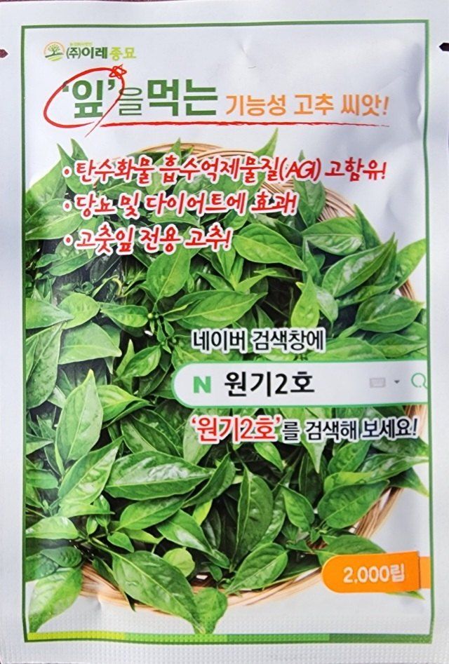 장터 상품 [당뇨와 다이어트에 효능있는 기능성고추 원기2호 고추모종] 썸네일