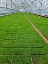 팜모닝 자유주제·자유게시판 게시글 이미지