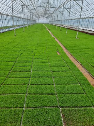 이병남님의 자유주제 · 자유게시판 작성글 사진