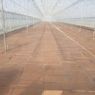 이병남님의 자유주제 · 자유게시판 작성글 사진