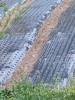 이연화님의 5월 농사계획 공유하기 · 참여글 작성글 사진