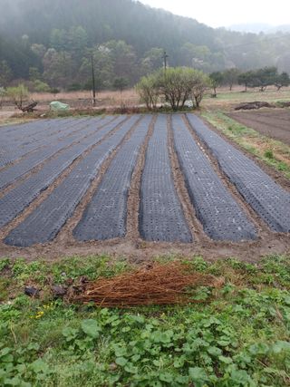 이연화님의 5월 농사계획 공유하기 · 참여글 작성글 사진