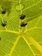 팜모닝 자유주제·자유게시판 게시글 이미지