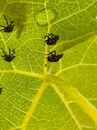 김혜순님의 자유주제 · 자유게시판 작성글 사진