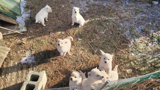 김진숙님의 5월 농사계획 공유하기 · 참여글 작성글 사진