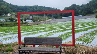 김진숙님의 5월 농사계획 공유하기 · 참여글 작성글 사진