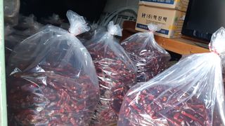 김진숙님의 5월 농사계획 공유하기 · 참여글 작성글 사진