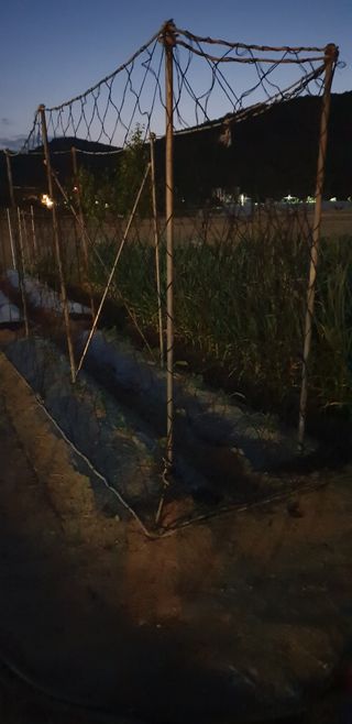 작은농원님의 자유주제 · 자유게시판 작성글 사진