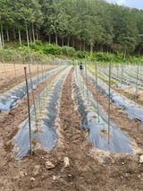 팜모닝 자유주제·자유게시판 게시글 이미지