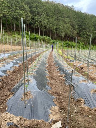 오디님의 자유주제 · 자유게시판 작성글 사진