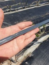 팜모닝 자유주제·자유게시판 게시글 이미지