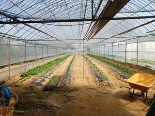 김영천님의 5월 농사계획 공유하기 · 참여글 작성글 사진