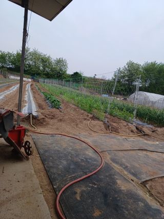 김영천님의 5월 농사계획 공유하기 · 참여글 작성글 사진