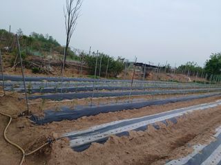 김영천님의 5월 농사계획 공유하기 · 참여글 작성글 사진