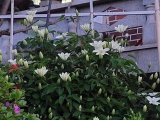 산과들바람산야초님의 자유주제 · 사진전 작성글 사진