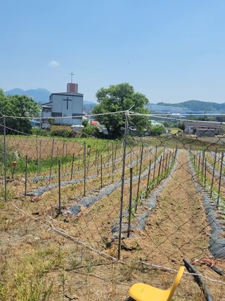 이만영님의 자유주제 · 자유게시판 작성글 사진
