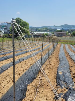 이만영님의 자유주제 · 자유게시판 작성글 사진