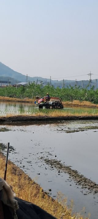 별라님의 벼 · 영농일지 작성글 사진