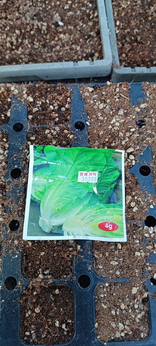 보령 게으른농부님의 자유주제 · 자유게시판 작성글 사진