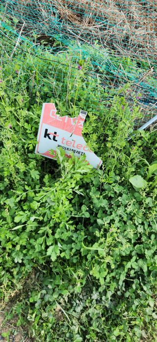 이정현님의 자유주제 · 자유게시판 작성글 사진