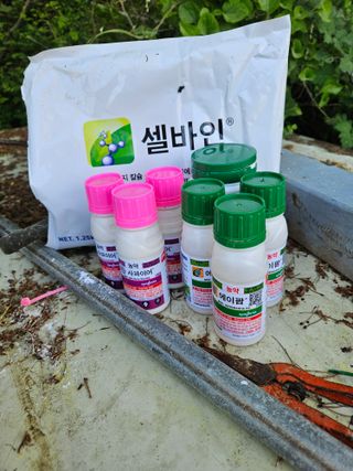 장양농원6606님의 기타작물 · 영농일지 작성글 사진