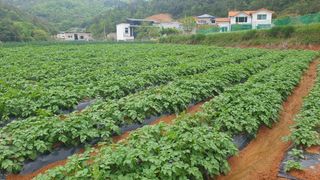 유형철님의 자유주제 · 자유게시판 작성글 사진