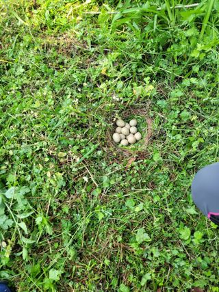 이원규님의 자유주제 · 자유게시판 작성글 사진