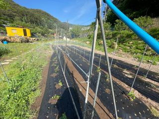 도곡님의 자유주제 · 자유게시판 작성글 사진