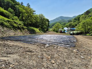 윤자용11대임후회장님의 고추 · 일상 작성글 사진