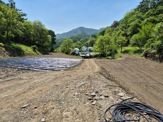 윤자용11대임후회장님의 고추 · 일상 작성글 사진