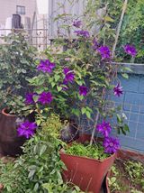 팜모닝 자유주제·자유게시판 게시글 이미지