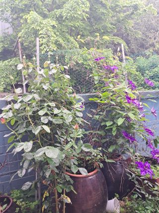 윤문옥님의 자유주제 · 자유게시판 작성글 사진