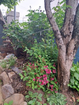 윤문옥님의 자유주제 · 자유게시판 작성글 사진