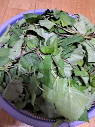 윤문옥님의 자유주제 · 자유게시판 작성글 사진