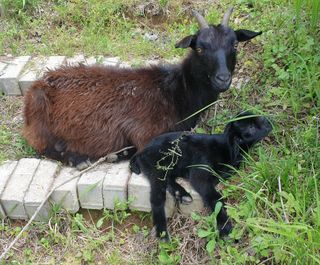 김순필수방님의 자유주제 · 자유게시판 작성글 사진