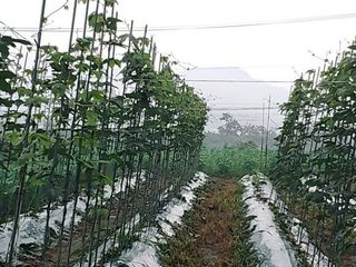 정보센터님의 작성글 사진