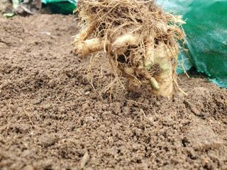 정보센터님의 작성글 사진