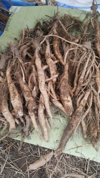 정보센터님의 작성글 사진