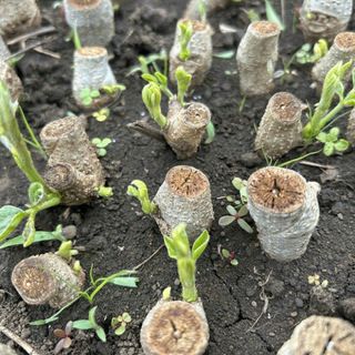 정보센터님의 작성글 사진