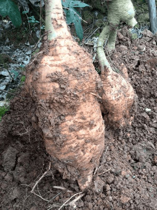 정보센터님의 작성글 사진