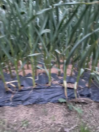 오디님의 자유주제 · 자유게시판 작성글 사진