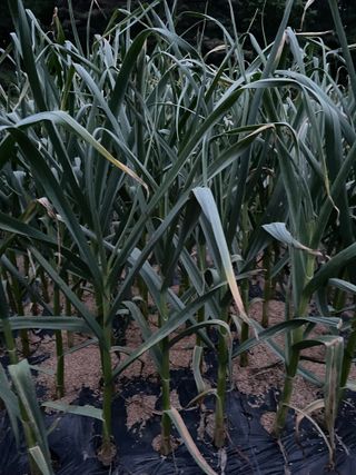 오디님의 자유주제 · 자유게시판 작성글 사진