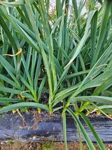 팜모닝 자유주제·건의해요 게시글 이미지